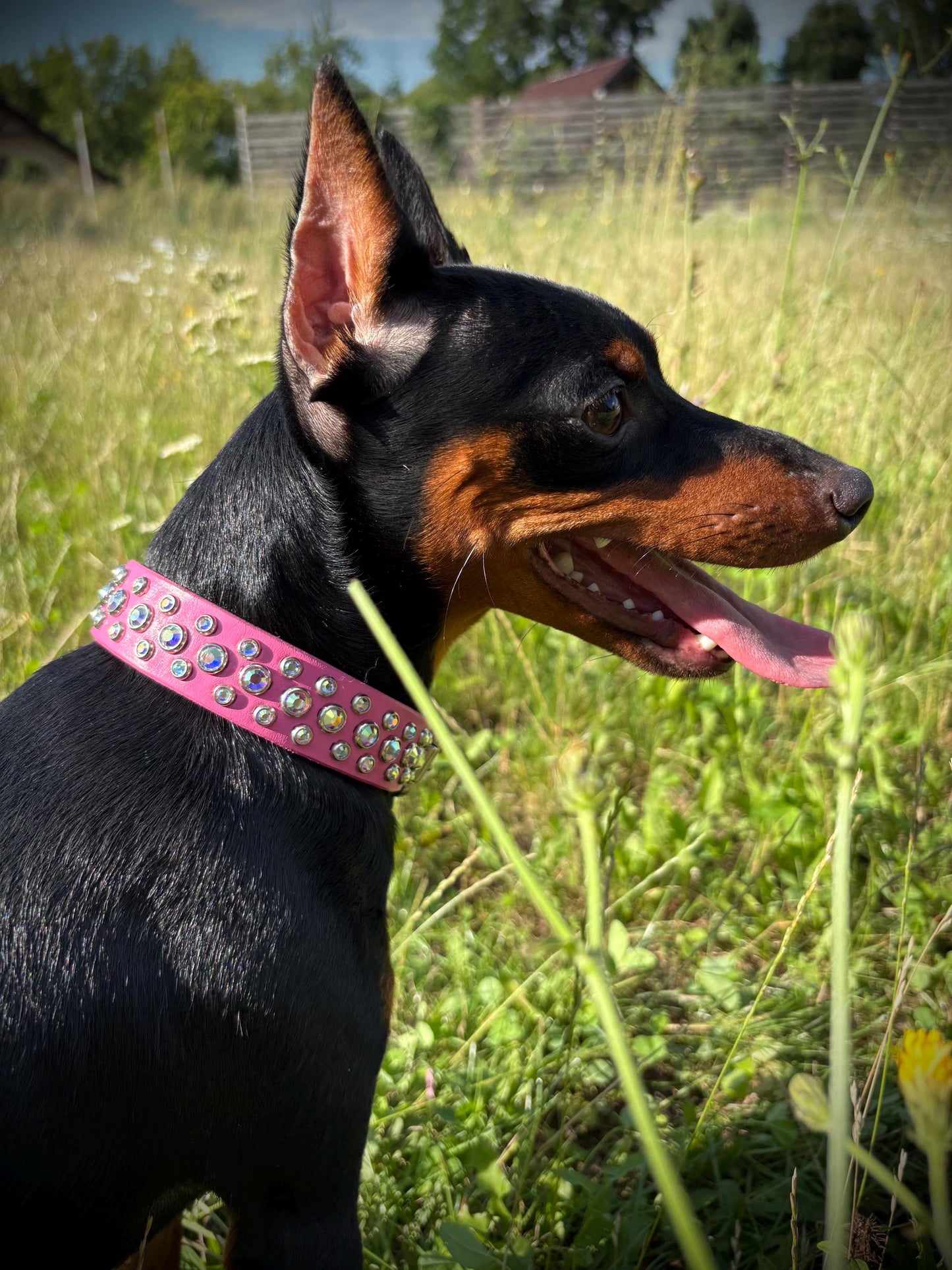 Italian leather dog collar with rhinestone Crystal collar for dog Pink dog collars with rhinestone