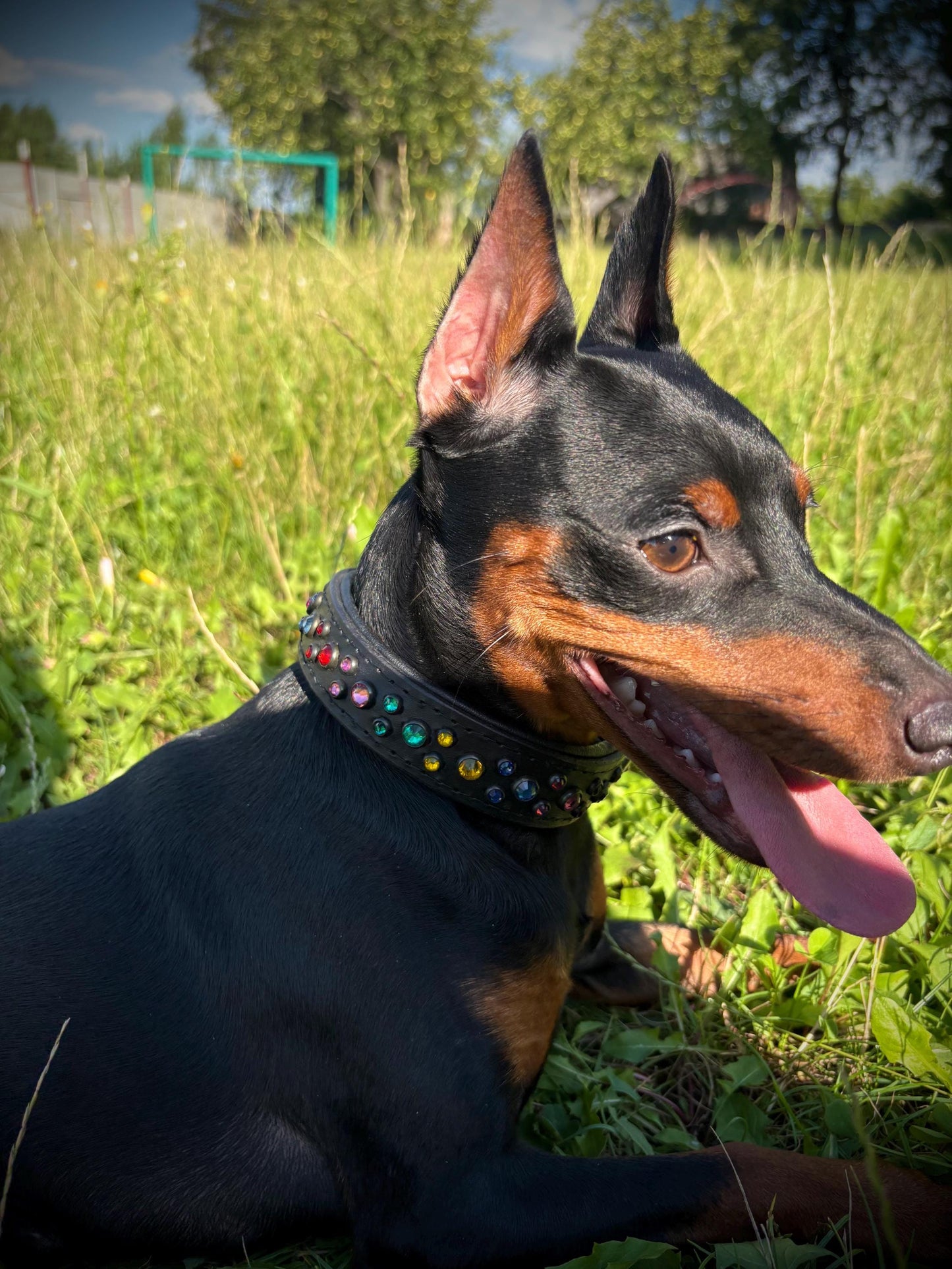Italian leather dog collar with rhinestone Crystal collar for dog