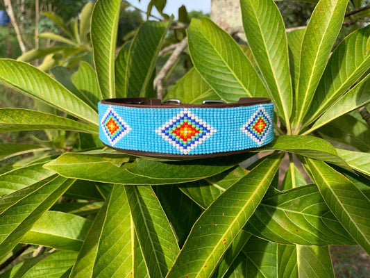 Beaded leather dog collar Blue dog collar Dog collar for boy