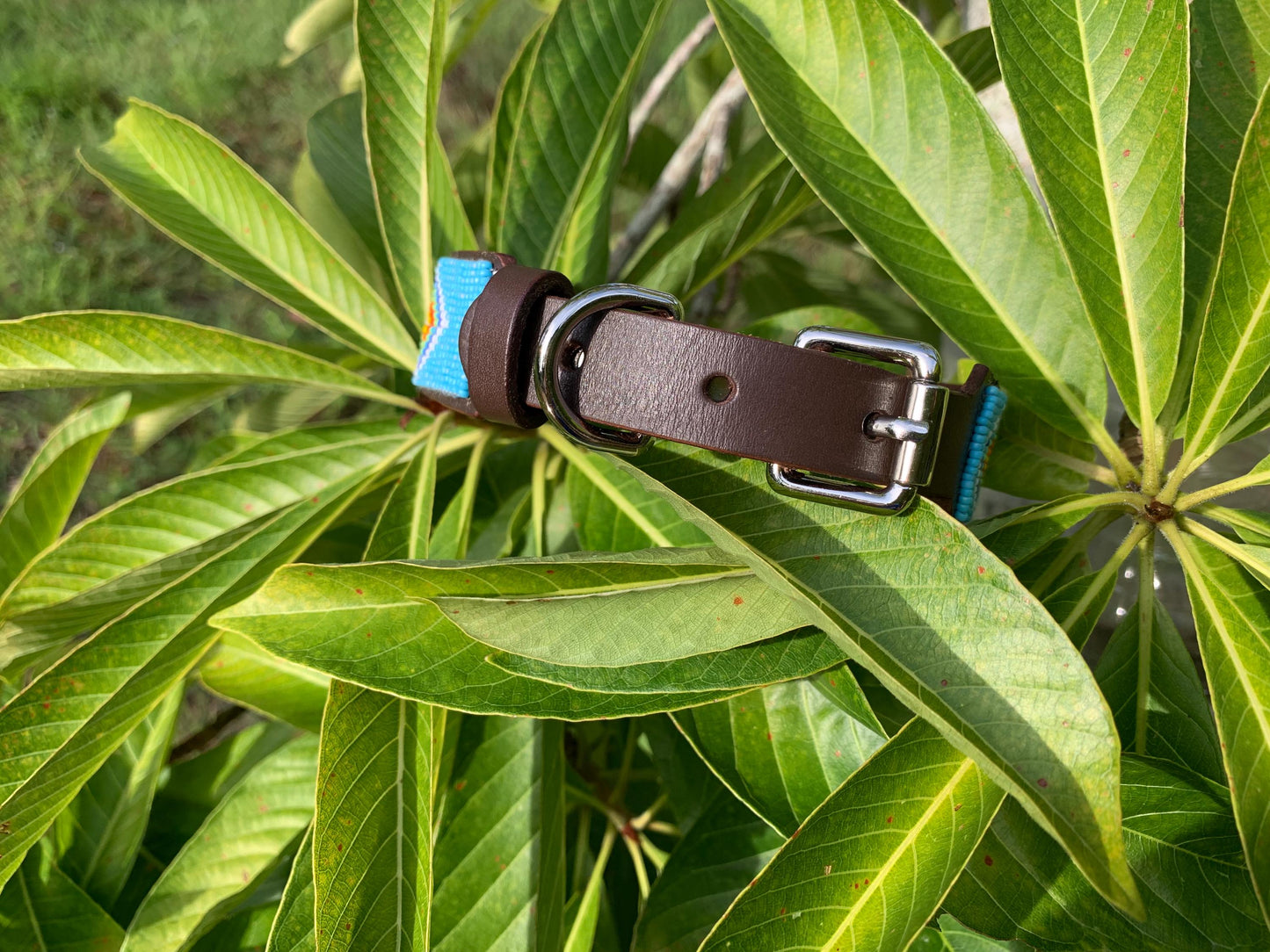 Beaded leather dog collar Blue dog collar Dog collar for boy