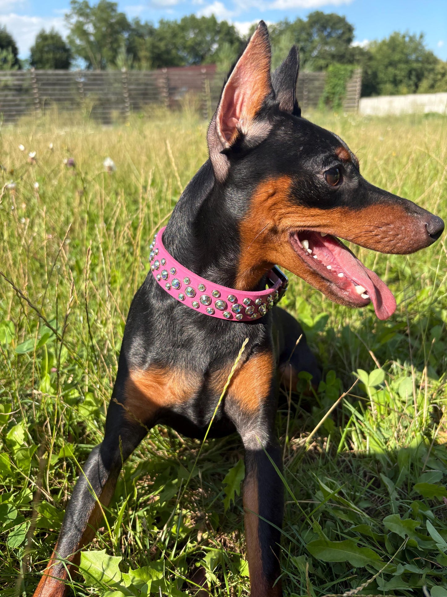 Italian leather dog collar with rhinestone Crystal collar for dog Pink dog collars with rhinestone