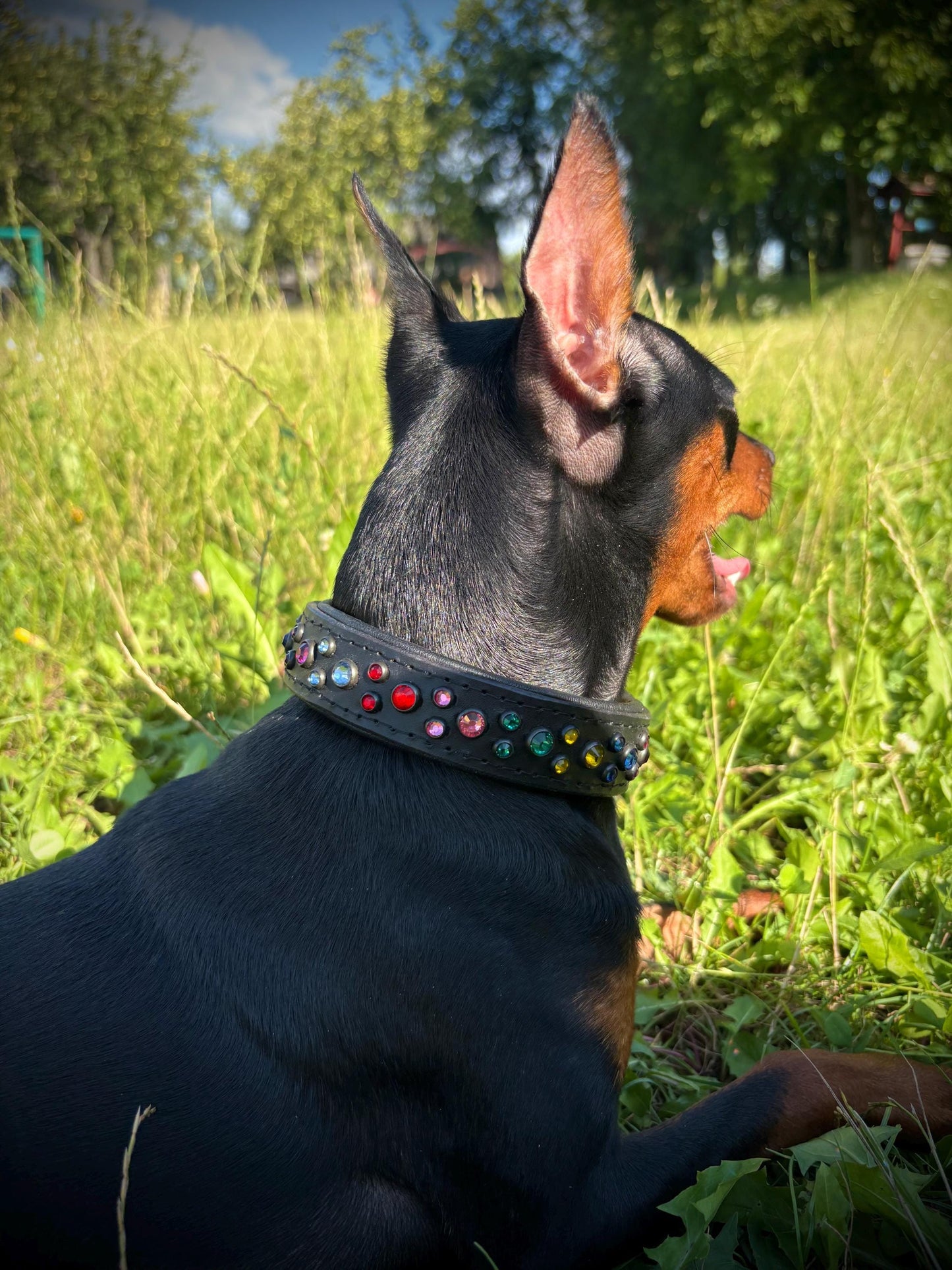 Italian leather dog collar with rhinestone Crystal collar for dog